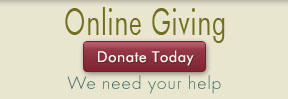 Give today!