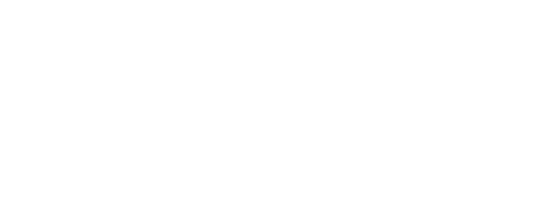 25 AUDB OrgChart Horizontal WHITE Copy