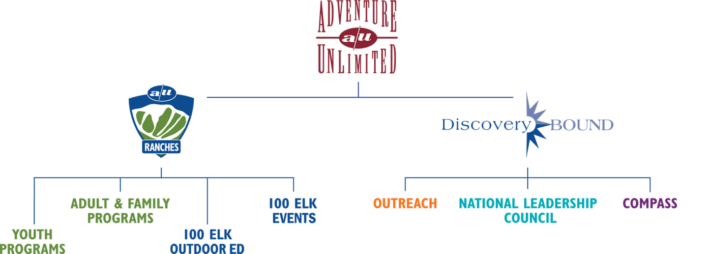 19 AUDB OrgChart Horizontal 2